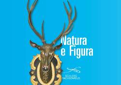 Natura e Figura Natura e Figura